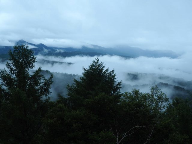 雲のワンポイント講座第27回　～雨上がりに森から立ち昇る雲は何？～